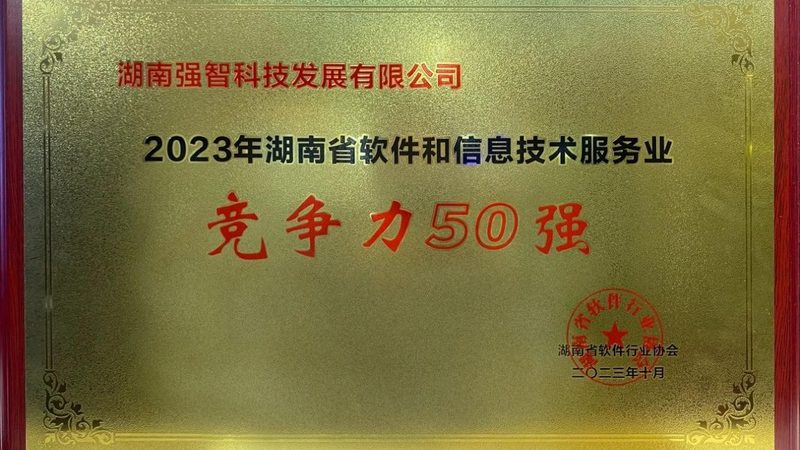 医院驻场运维外包服务商